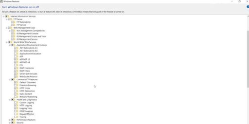 Windows Features dialog showing Internet Information Services IIS options and .NET Framework settings